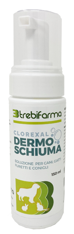 CLOREXAL DERMOSCHIUMA 150 ML - Luckyfarma.it