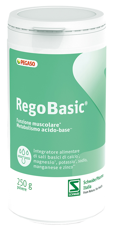 REGOBASIC POLVERE 250 G - Luckyfarma.it