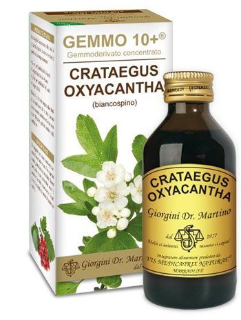 GEMMO 10+ BIANCOSPINO LIQUIDO ANALCOLICO 100 ML - Luckyfarma.it