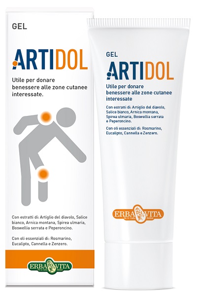 ARTIDOL GEL 100 ML - Luckyfarma.it