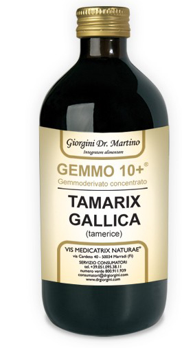 GEMMO 10+ GEMMODERIVATO CONCENTRATO LIQUIDO ANALCOLICO TAMARIX GALLICA TAMERICE 500 ML - Luckyfarma.it