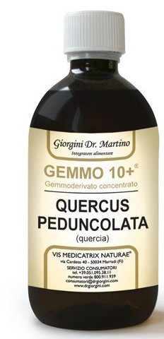 GEMMO 10+ QUERCIA 500 ML LIQUIDO ANALCOLICO - Luckyfarma.it