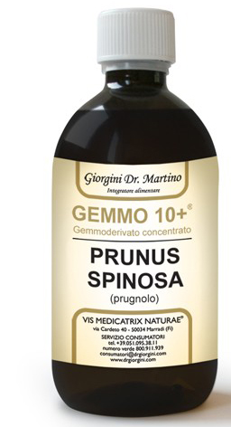 GEMMO 10+ PRUGNOLO 500 ML LIQUIDO ANALCOLICO - Luckyfarma.it