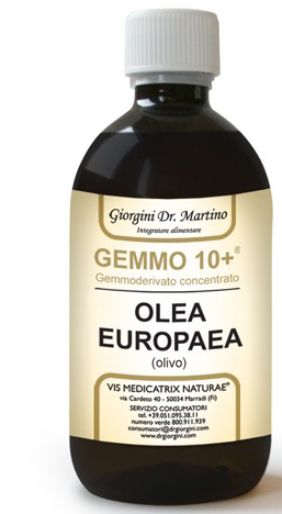 GEMMO 10+ OLIVO 500 ML LIQUIDO ANALCOLICO - Luckyfarma.it