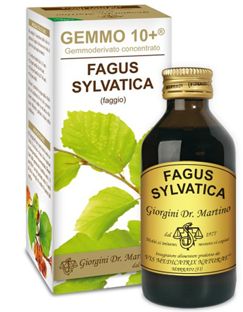 GEMMO 10+ FAGGIO 100 ML LIQUIDO ANALCOLICO - Luckyfarma.it
