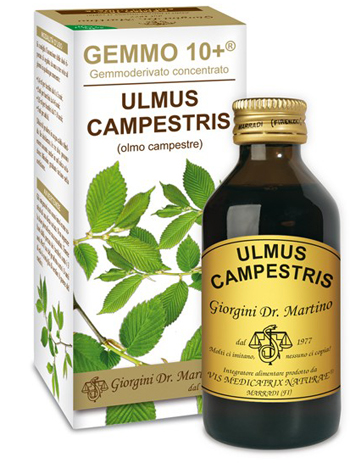 GEMMO 10+ OLMO CAMPESTRE 100 ML LIQUIDO ANALCOLICO - Luckyfarma.it