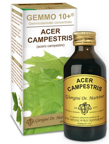 GEMMO 10+ ACERO CAMPESTRE 100 ML LIQUIDO ANALCOLICO - Luckyfarma.it