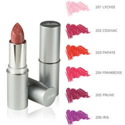 DEFENCE COLOR BIONIKE ROSSETTO SEMITRASPARENTE LIPSHINE 205 PRUNE - Luckyfarma.it