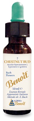 FIORI DI BACH BENOIT CHESTNUT BUD 10 ML - Luckyfarma.it