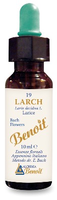 FIORI DI BACH BENOIT LARCH 10 ML - Luckyfarma.it