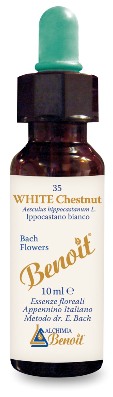 FIORI DI BACH BENOIT WHITE CHESTNUT 10 ML - Luckyfarma.it