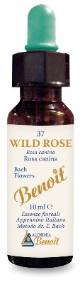 FIORI DI BACH BENOIT WILD ROSE 10 ML - Luckyfarma.it