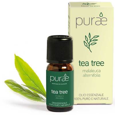 PURAE OLIO ESSENZIALE ALBERO TEA FOGLIE 10 ML - Luckyfarma.it