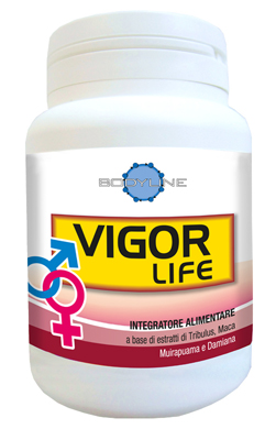 VIGOR LIFE 40 CAPSULE - Luckyfarma.it