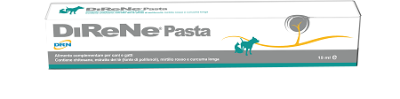DIRENE PASTA 15 ML - Luckyfarma.it
