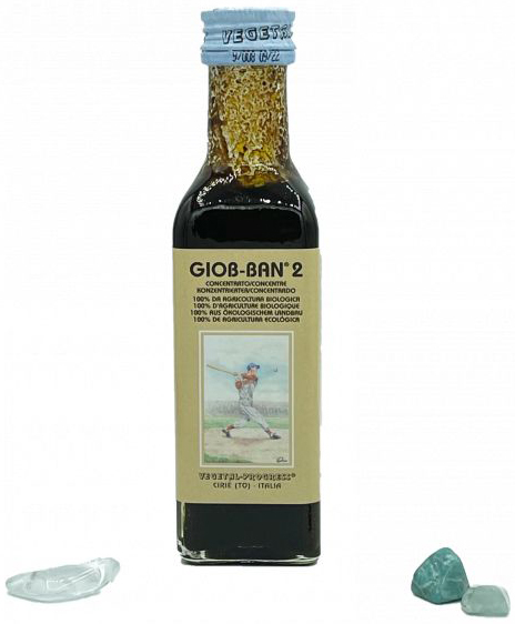GIOB BAN 2 ART ESTRATTO CONCENTRATO BIOLOGICO 100 ML - Luckyfarma.it