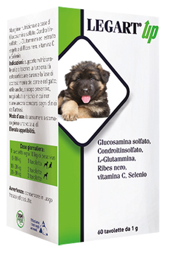LEGART UP 60 COMPRESSE DA 1 G - Luckyfarma.it