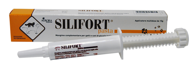 SILIFORT PASTA OS SIRINGA 15 G - Luckyfarma.it