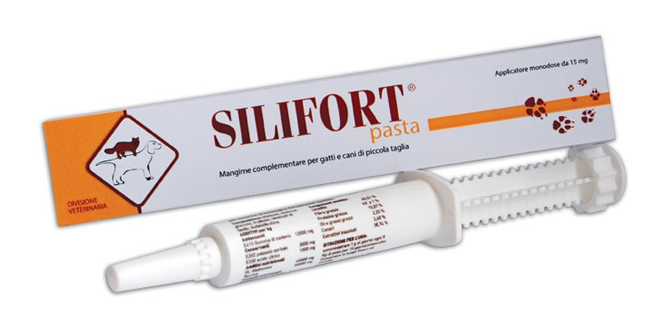 SILIFORT PASTA OS SIRINGA 30 G - Luckyfarma.it