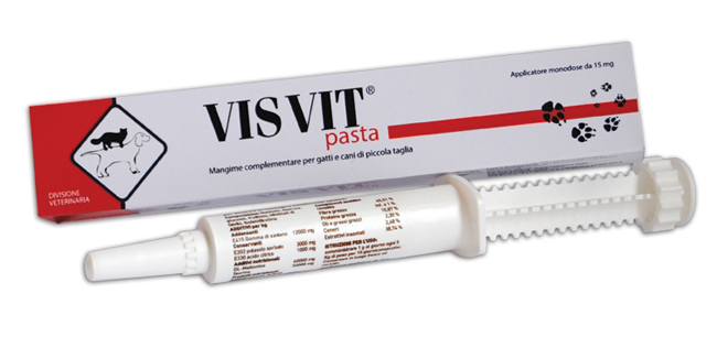 VISVIT PASTA OS SIRINGA 15 G - Luckyfarma.it