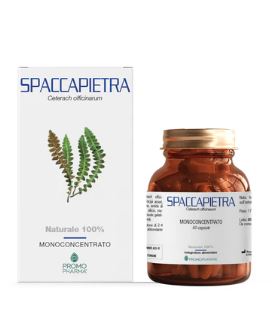 SPACCAPIETRA 50 CAPSULE - Luckyfarma.it