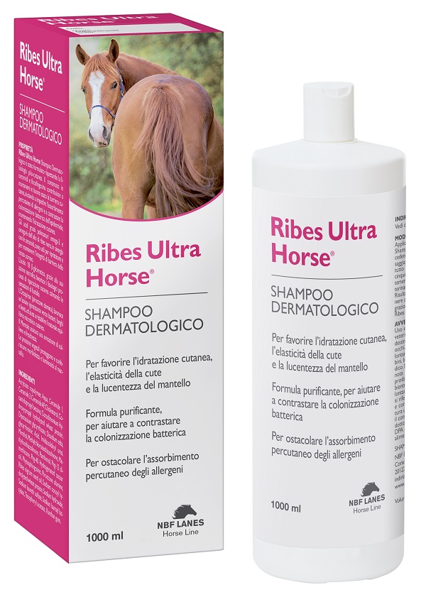 RIBES HORSE ULTRA SHAMPOO DERMATOLOGICO 1 LITRO - Luckyfarma.it