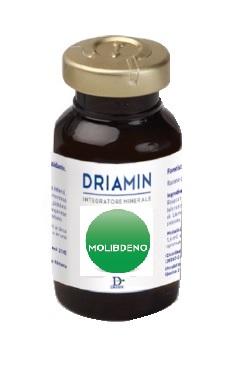 DRIAMIN MOLIBDENO 10 FLACONCINI 15 ML - Luckyfarma.it