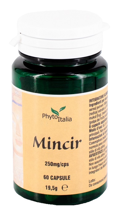 MINCEUR AYURVED 60 CAPSULE - Luckyfarma.it