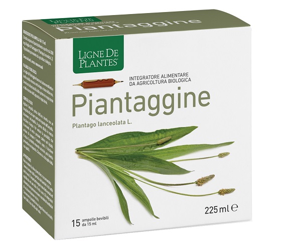PIANTAGGINE 15 AMPOLLE BEVIBILI 15 ML - Luckyfarma.it