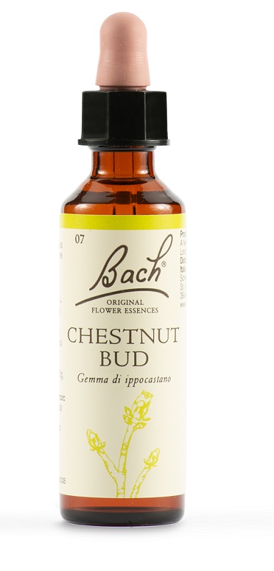 CHESTNUT BUD BACH ORIG 20 ML - Luckyfarma.it