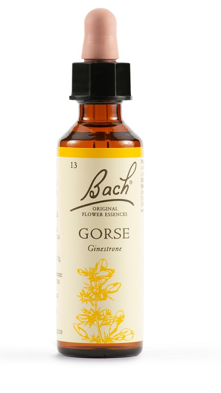 GORSE BACH ORIG 20 ML - Luckyfarma.it