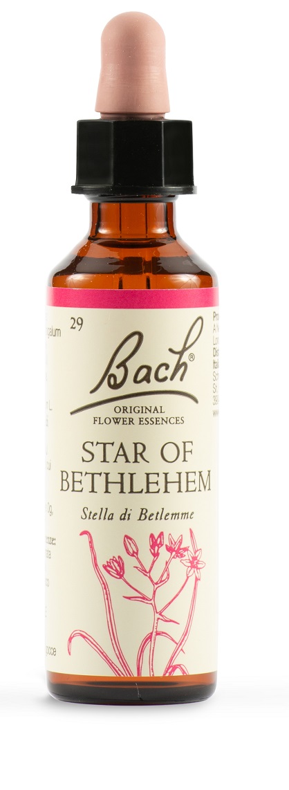 STAR OF BETHL ORIG 20 ML - Luckyfarma.it