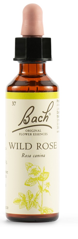 WILD ROSE BACH ORIG 20 ML - Luckyfarma.it