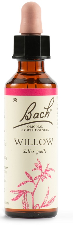 WILLOW BACH ORIG 20 ML - Luckyfarma.it