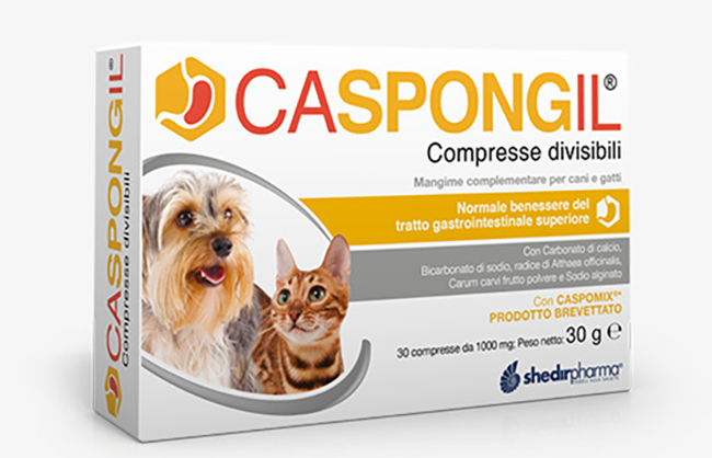 CASPONGIL 30 COMPRESSE DIVISIBILI - Luckyfarma.it