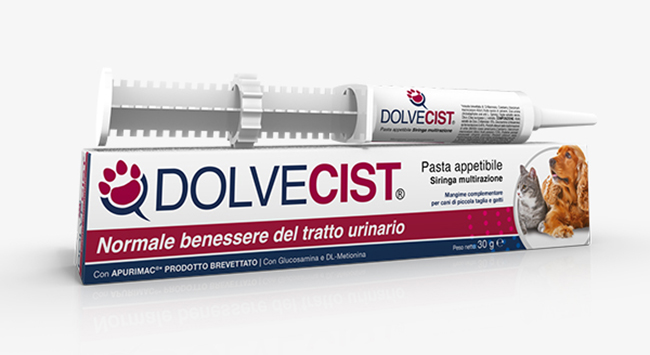DOLVECIST PASTA SIRINGA 30 G - Luckyfarma.it