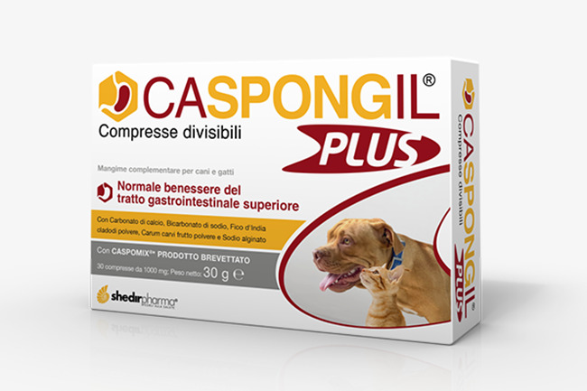CASPONGIL PLUS 30 COMPRESSE - Luckyfarma.it