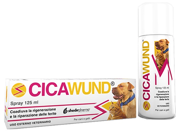 CICAWUND SPRAY 125 ML - Luckyfarma.it