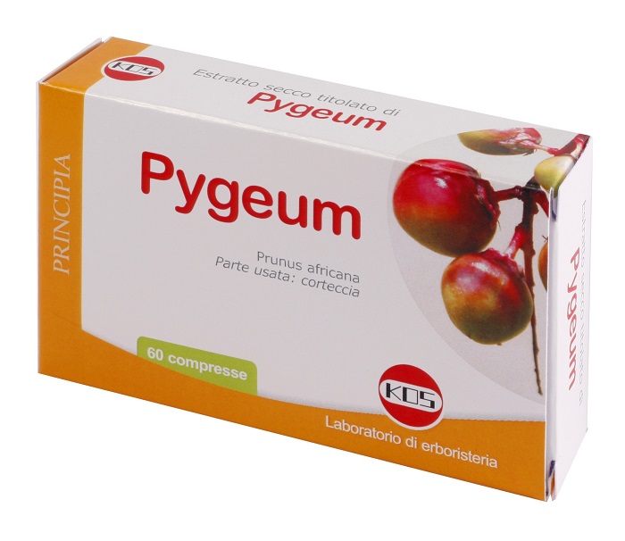 PYGEUM ESTRATTO SECCO 60 COMPRESSE - Luckyfarma.it