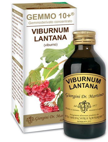 VIBURNO LIQUIDO ANALCOLICO GEMMO 10+ 100 ML - Luckyfarma.it