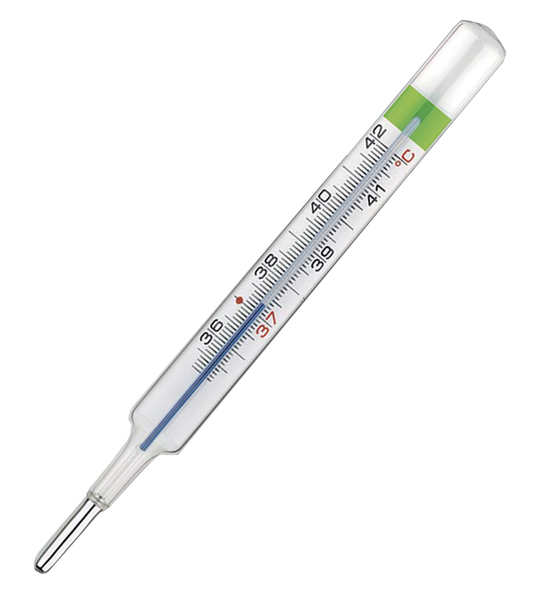 COLPHARMA THERMO GREEN PLUS TERMOMETRO - Luckyfarma.it