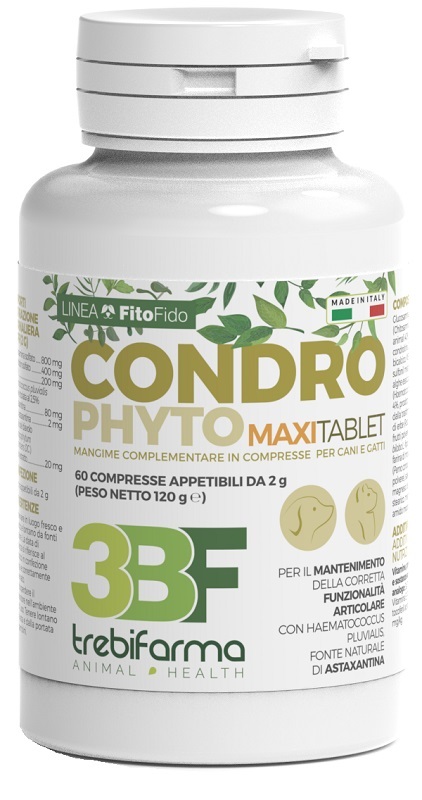 CONDROPHYTO 60 COMPRESSE 2 G - Luckyfarma.it