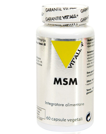 MSM 60 CAPSULE - Luckyfarma.it