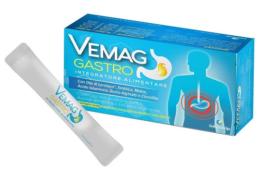 VEMAG GASTRO 20 STICK - Luckyfarma.it