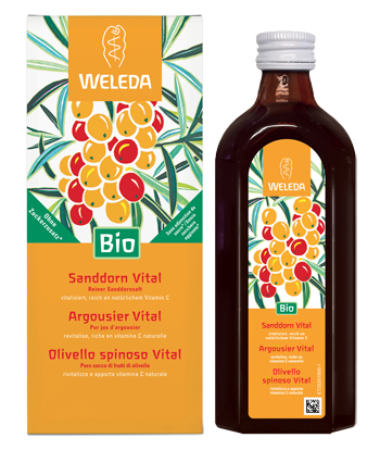 OLIVELLO SPINOSO VITAL SUCCO DI FRUTTA 250 ML - Luckyfarma.it