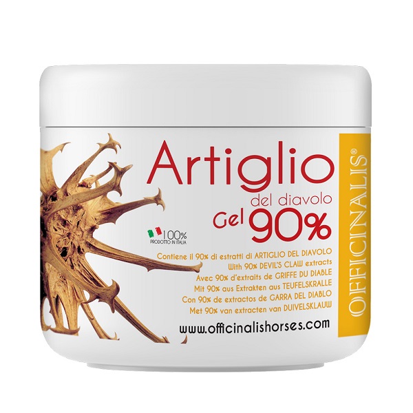 ARNICA GEL 90% 250 ML - Luckyfarma.it