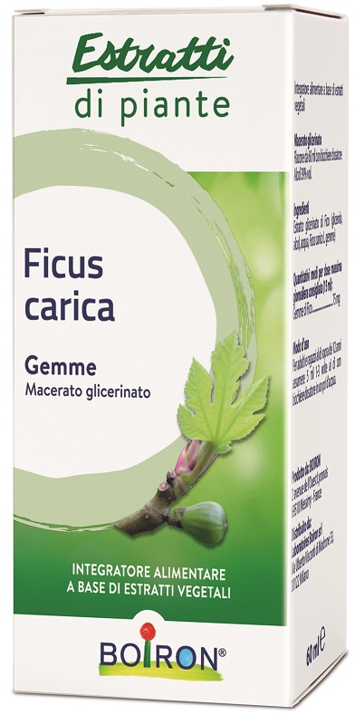 FICUS CARICA GEMME MACERATO GLICERINATO 60 ML INT - Luckyfarma.it