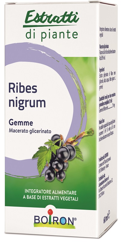 RIBES NIGRUM MACERATO GLICERICO 60 ML INT - Luckyfarma.it