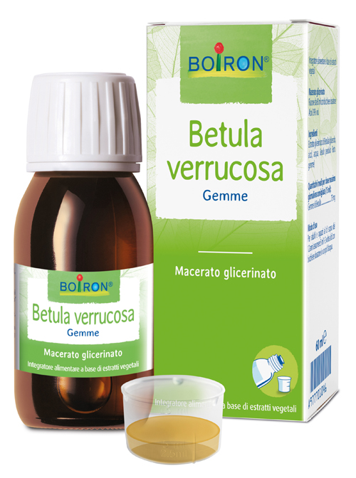 BETULA VERRUCO MACERATO GLICERICO 60 ML INT - Luckyfarma.it