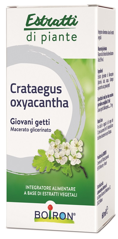 CRATAEGUS OXYACANTHA MACERATO GLICERICO 60 ML INT - Luckyfarma.it